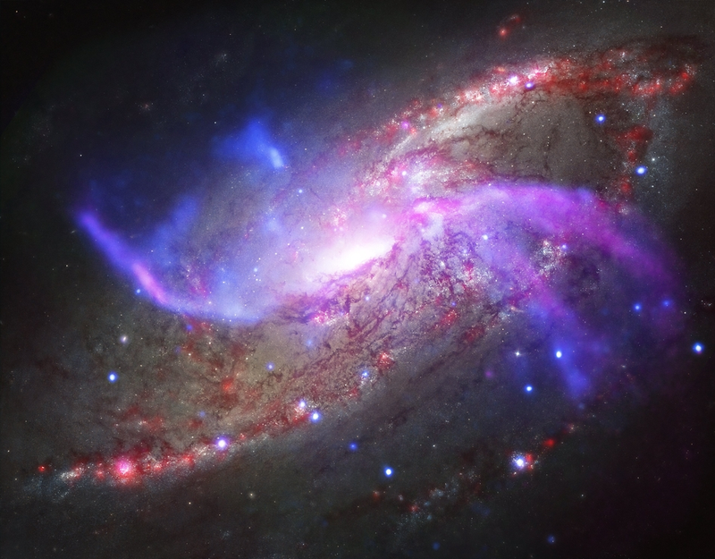 Illustration for article titled X-Rays From the Universe Are Simply Stunning